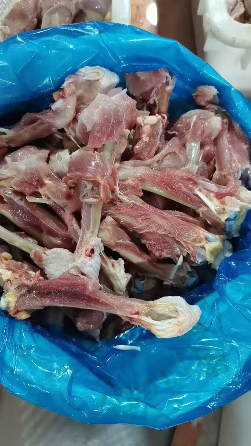 老鸡腿骨20吨