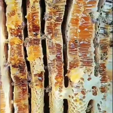 贵州蜂蜜