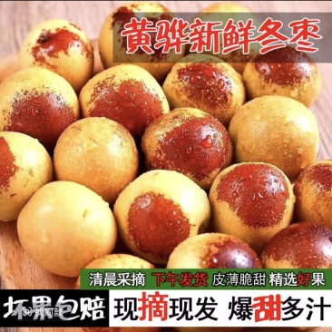 黄骅冬枣