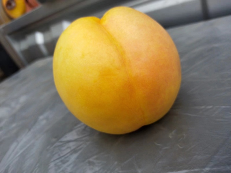 黄油桃