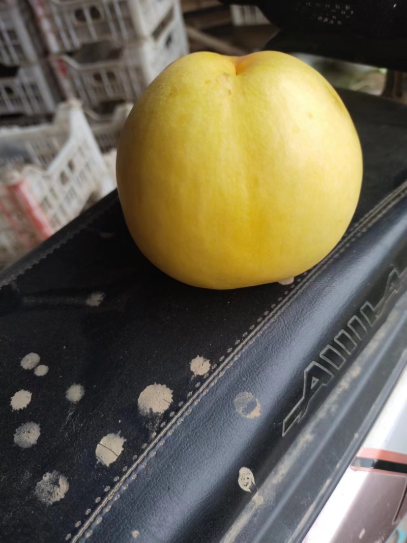 黄油桃