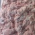 碎肉饺子馅。灌肠**