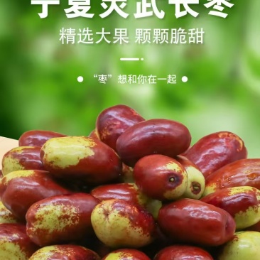 宁夏灵武长红枣