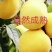 黄桃