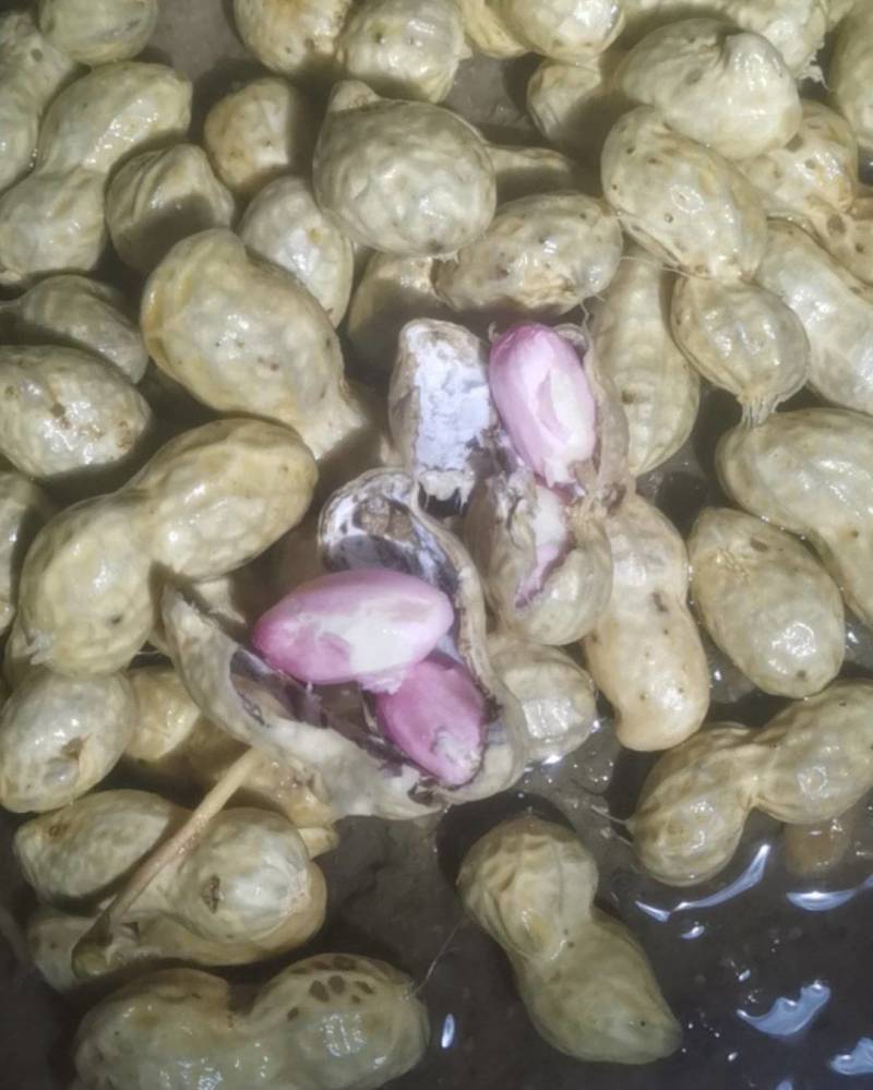 富硒鲜花生果