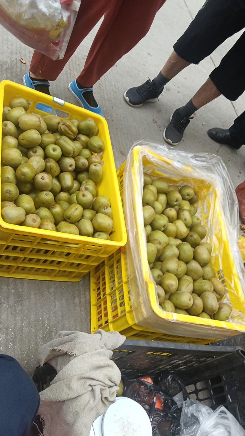 金币泉酒店