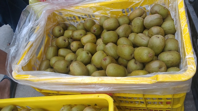 金币泉酒店