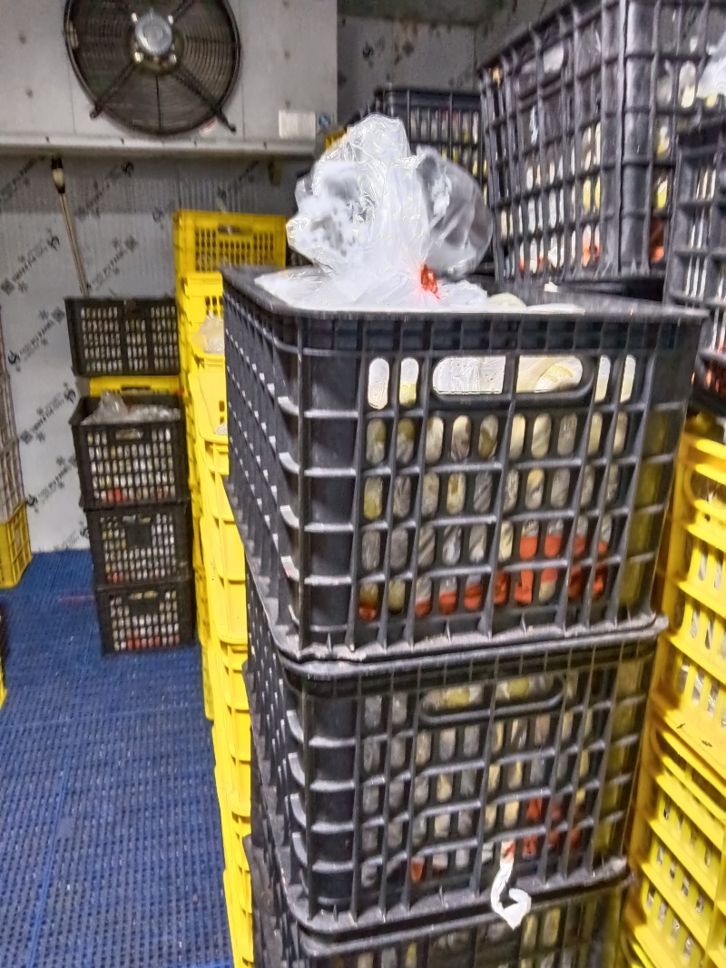 金币泉酒店