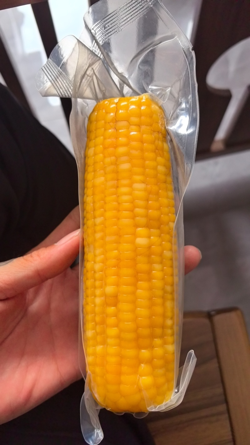 东北玉米