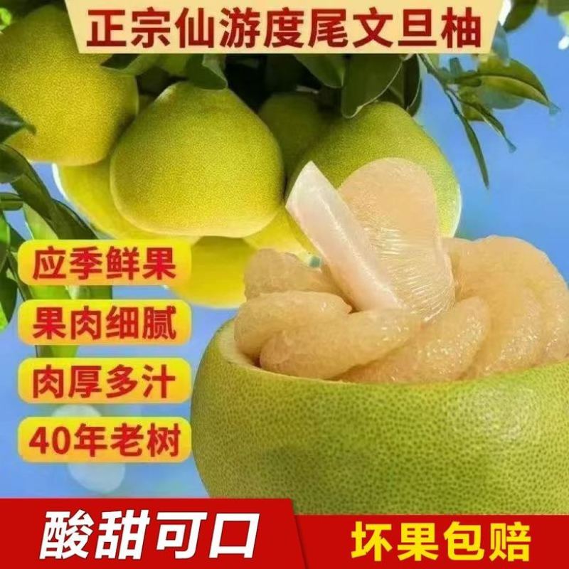 度尾红心文旦柚，自家农场，妈祖保柚