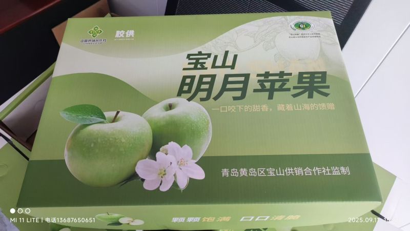 山东青岛胶南宝山明月苹果