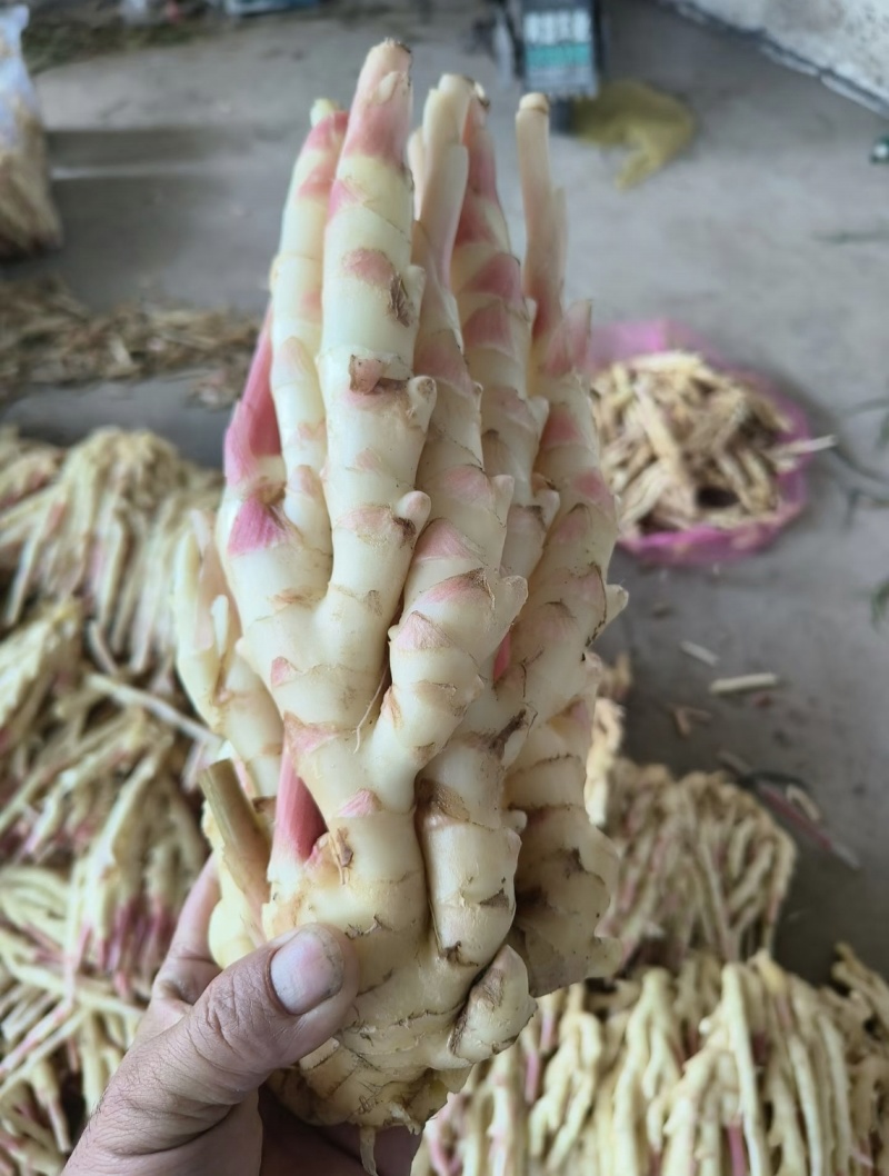 生姜