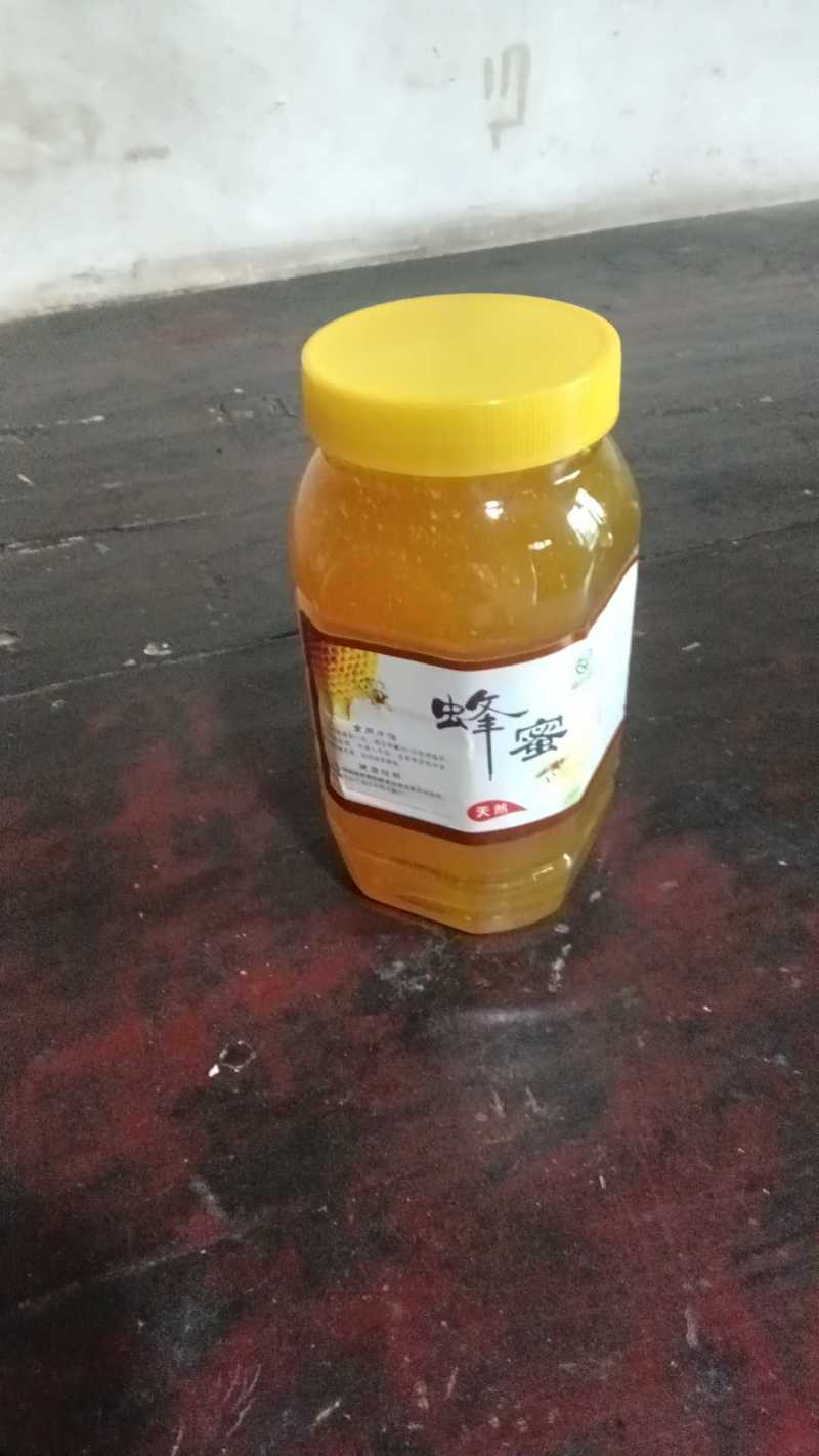 秦岭土蜂蜜