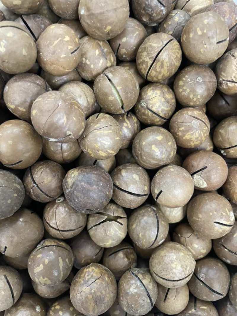 夏威夷果电商货