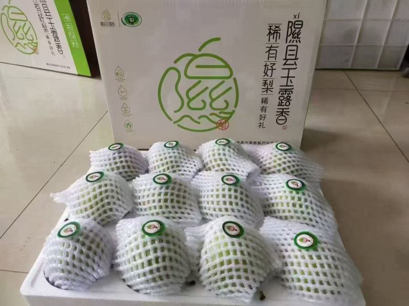 隰县玉露香梨
