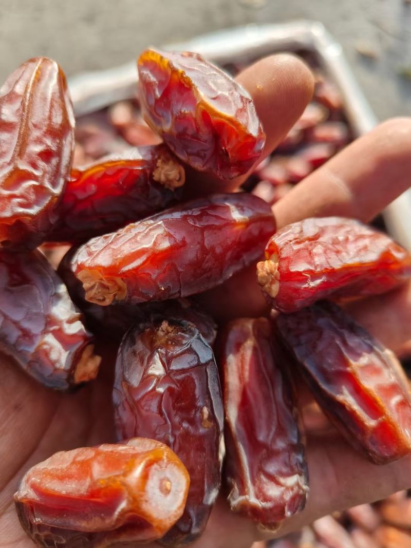 原生态沙特椰枣进口椰枣干非蜜饯自然晒干奶香味干爽批发价一整箱