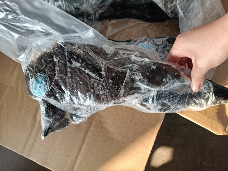 温氏乌鸡8只(9.5kg)