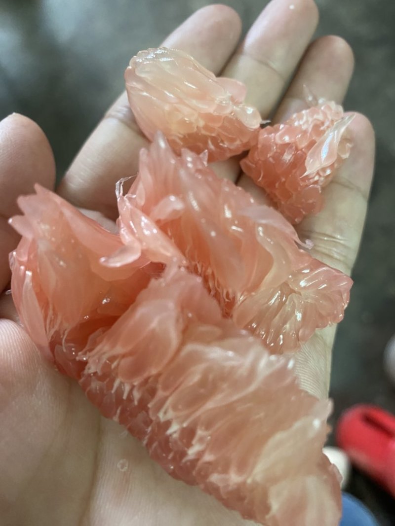 自产梅州三红蜜跟蜜柚