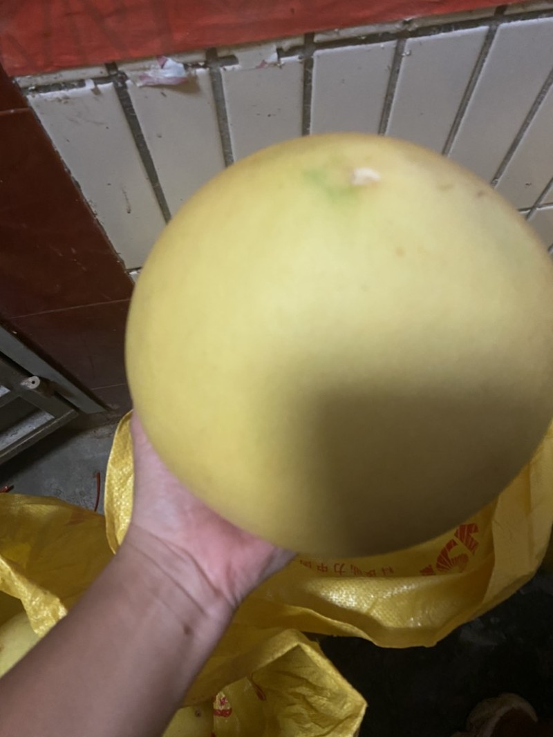 自产梅州三红蜜跟蜜柚