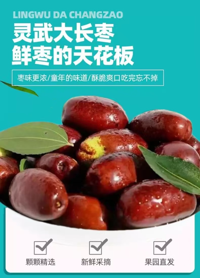 宁夏灵武长红枣