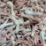 残鸡爪