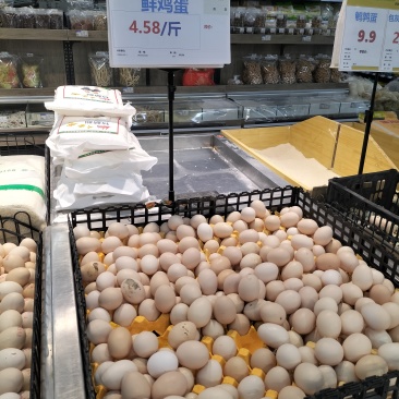 新鲜粮食蛋