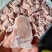满肉排骨粒