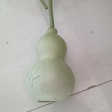 葫芦