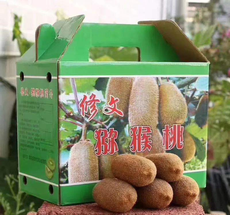 贵州修文绿芯猕猴桃+黄芯猕猴桃
