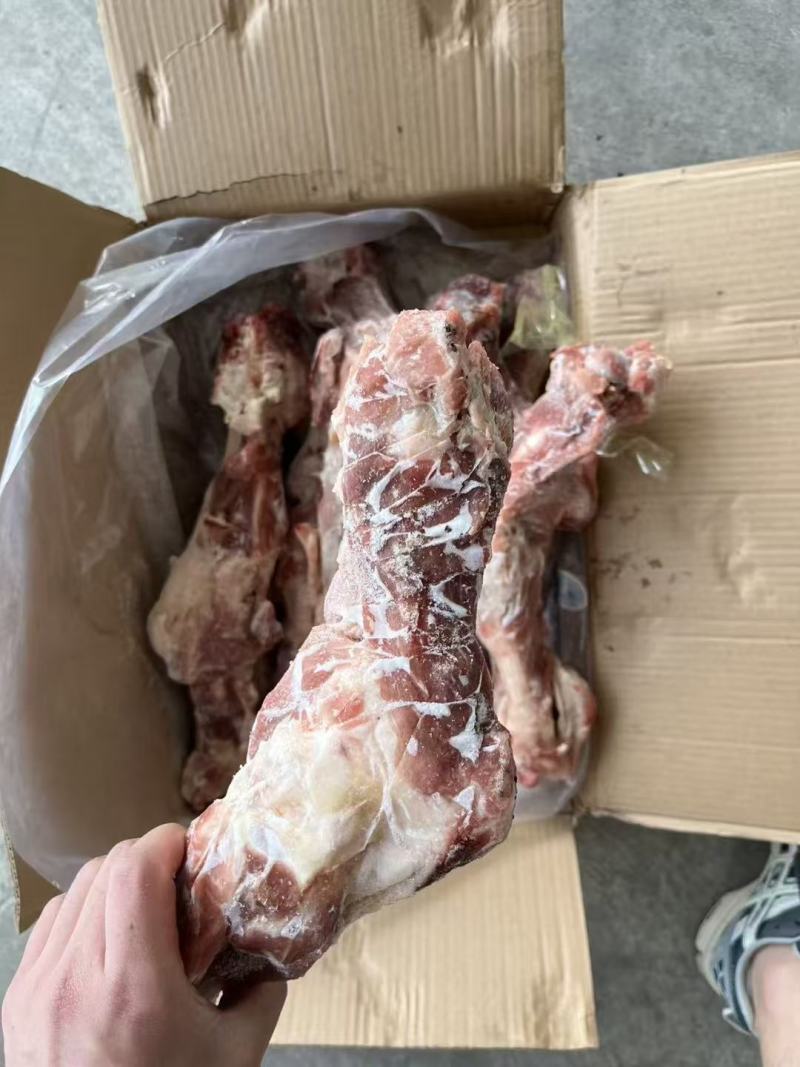 后腿骨国产