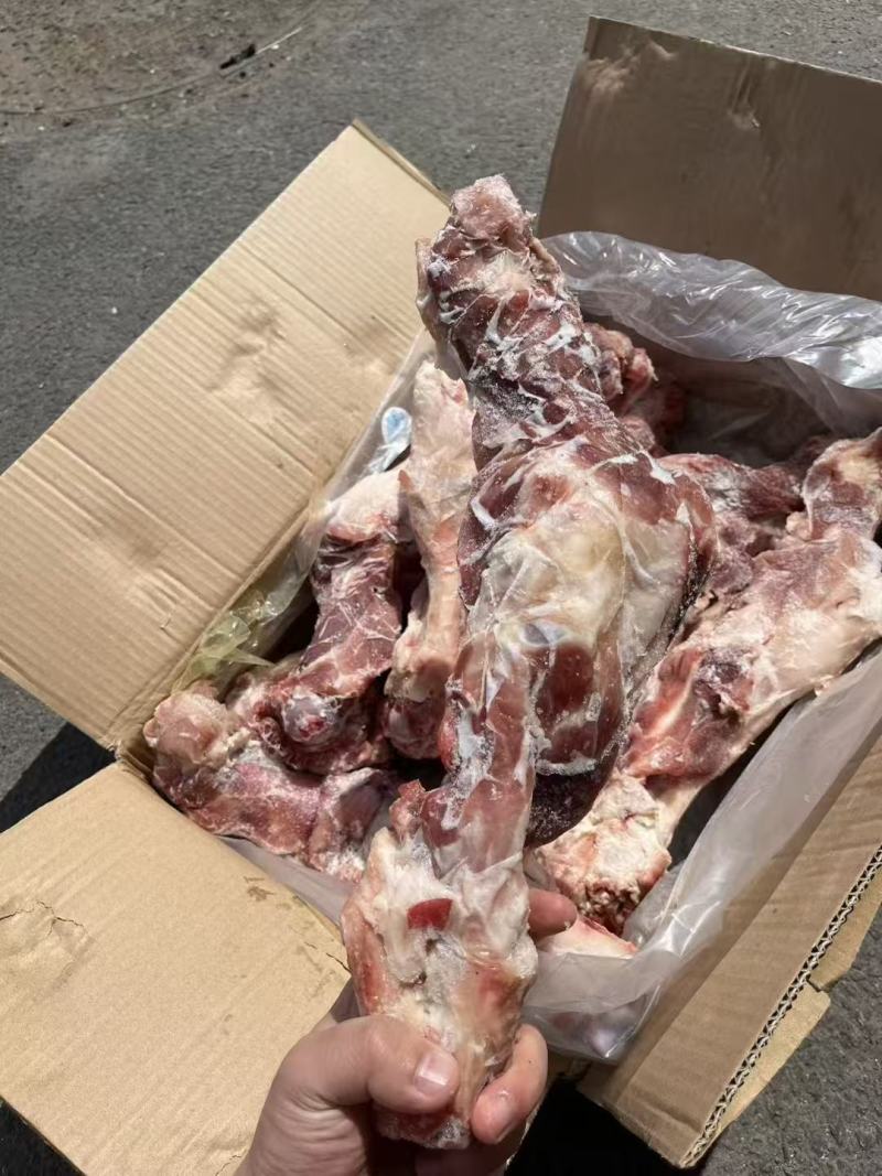 后腿骨国产