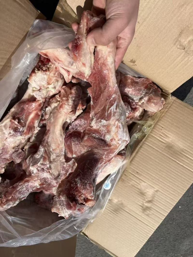 后腿骨国产