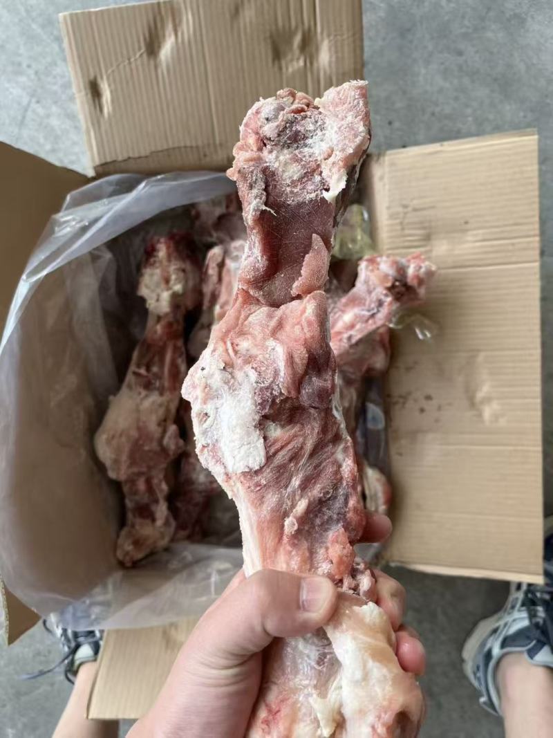 后腿骨国产