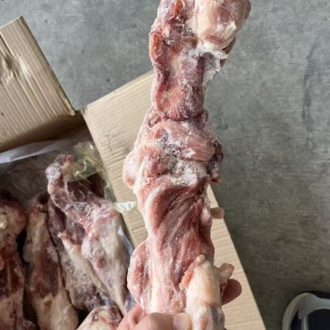 后腿骨国产