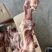 后腿骨国产