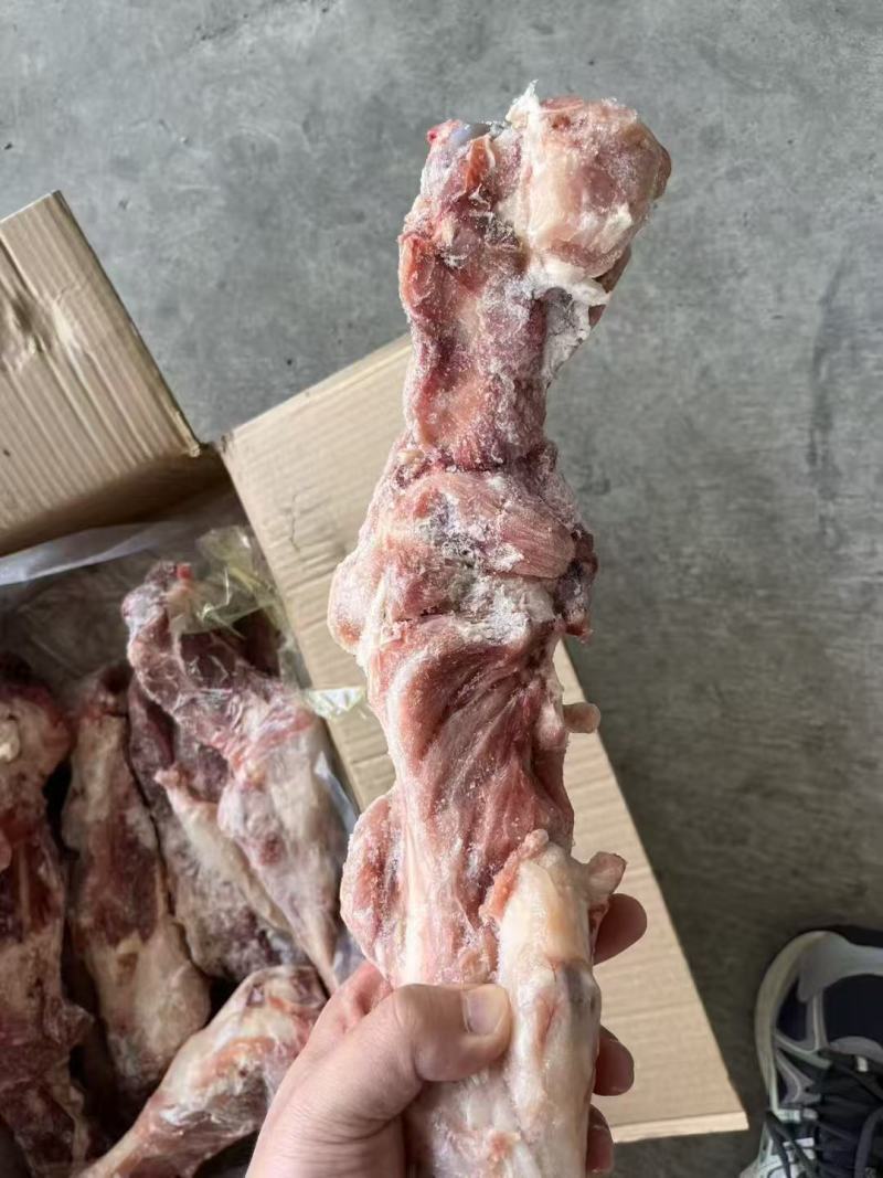 后腿骨国产