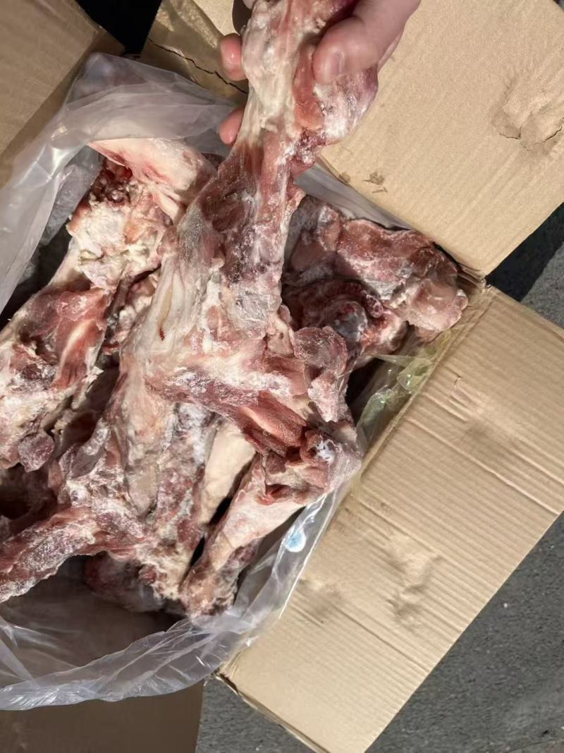 后腿骨国产