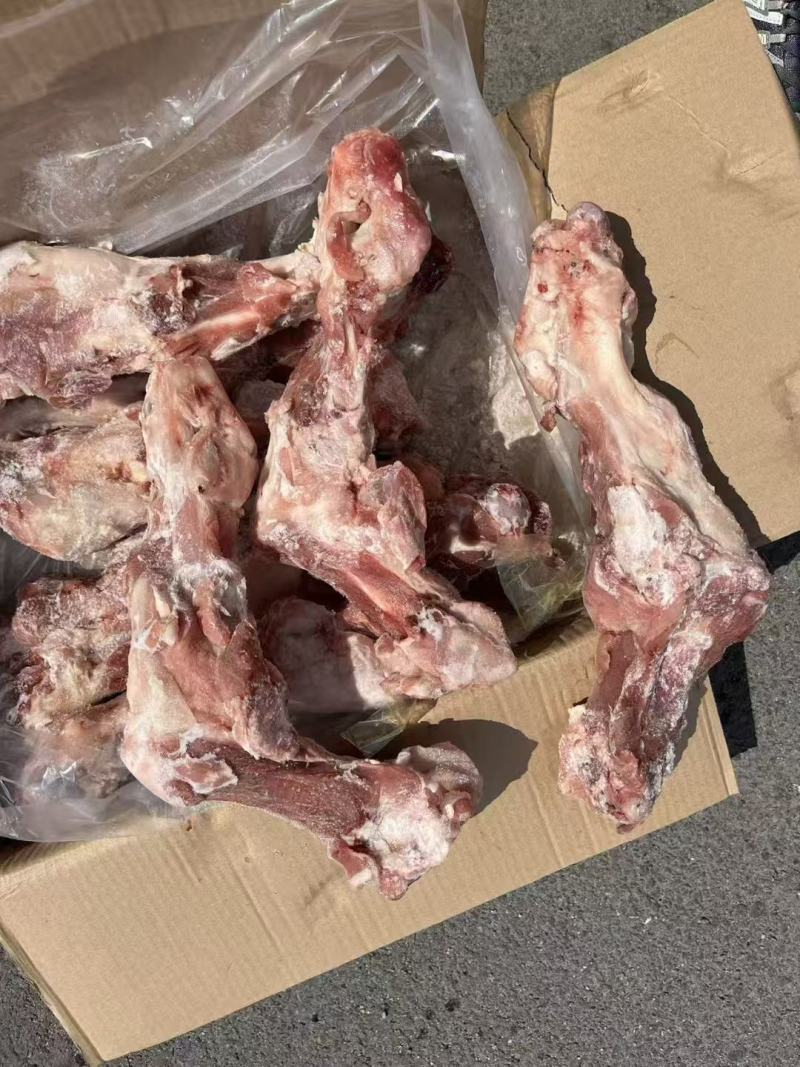 后腿骨国产