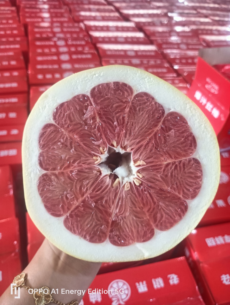 福建蜜柚