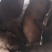 农家自养黑猪