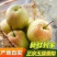 山西隰县玉露香梨