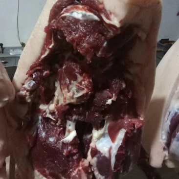 雅南猪肉