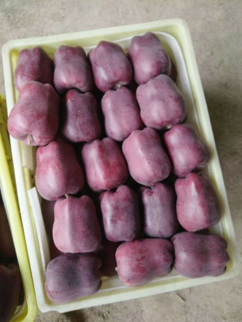 天水高山花牛，红富士