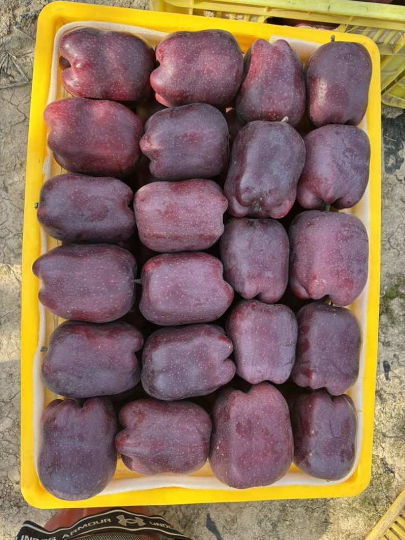 天水高山花牛，红富士
