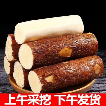 黄心木薯