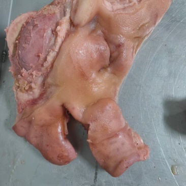 猪副