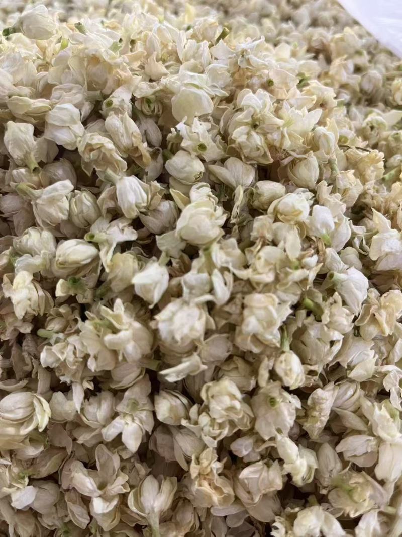 茉莉花蕾雪球