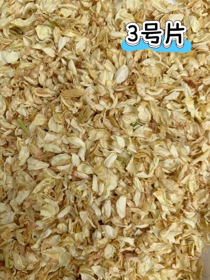 茉莉花蕾雪球