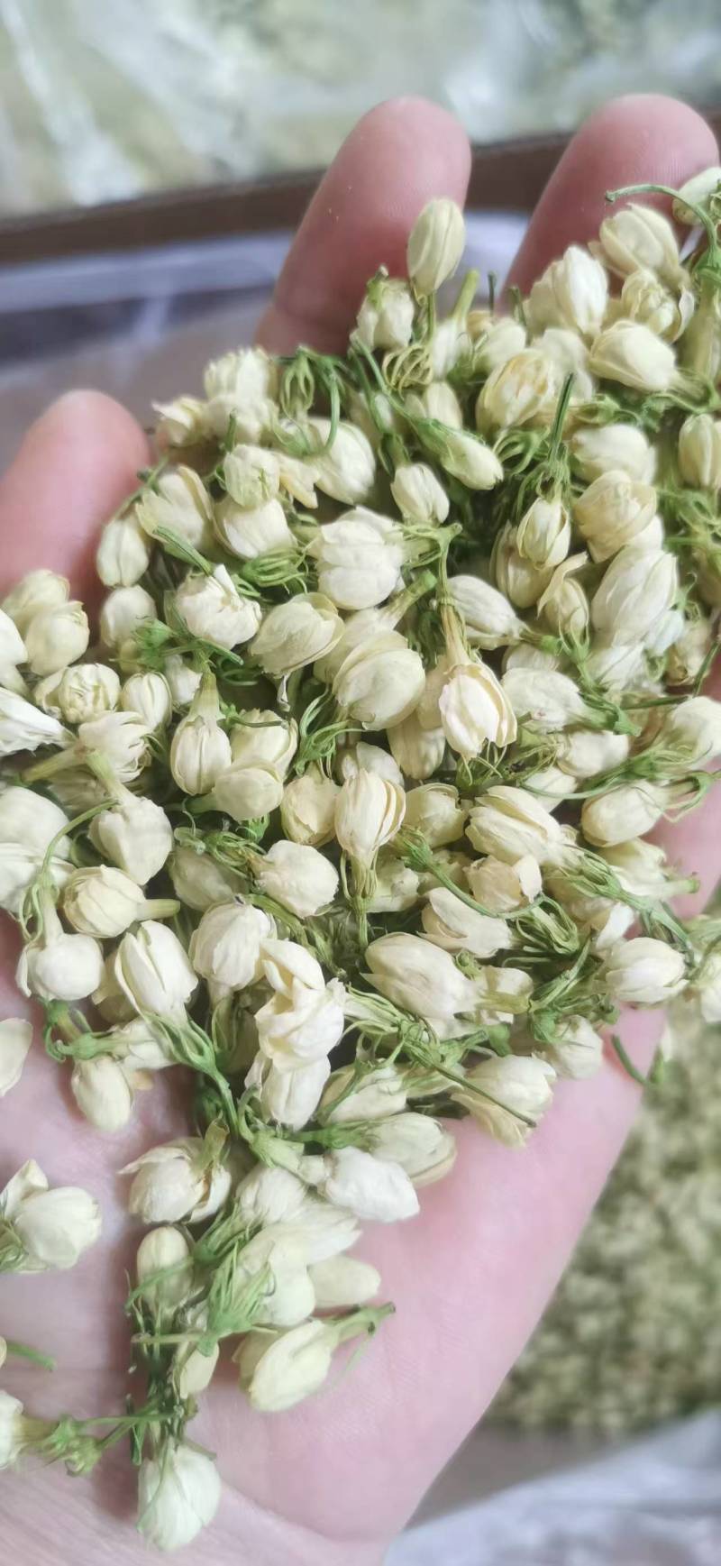 茉莉花蕾雪球