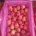 海棠果，大中小均价